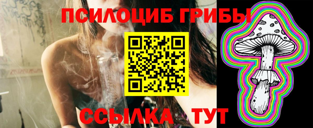 Псилоцибиновые грибы прущие грибы  Вход с VPN  Псилоцибиновые грибы GOLDEN TEACHER  Нефтекумск 